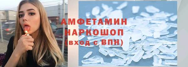 прущие грибы Богданович