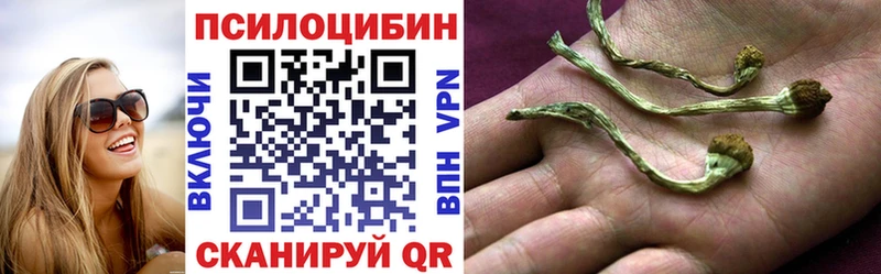 Галлюциногенные грибы Cubensis Николаевск-на-Амуре