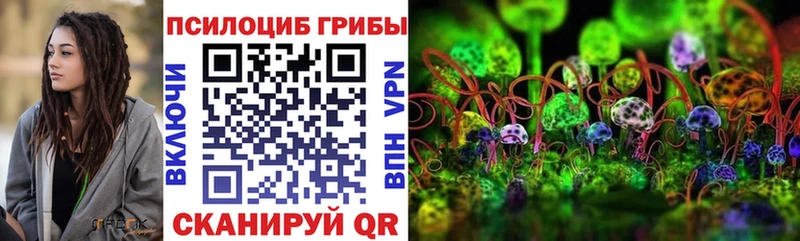 Псилоцибиновые грибы Psilocybe  Купить где  Николаевск-на-Амуре 