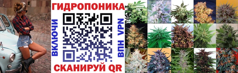 Конопля Bruce Banner Купить где Николаевск-на-Амуре